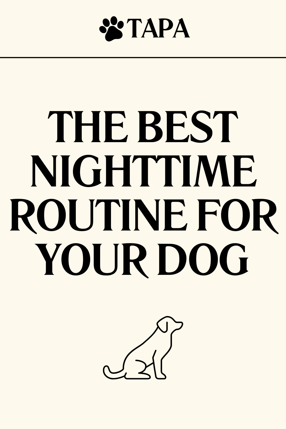 The Best Nighttime Routine for your Dog